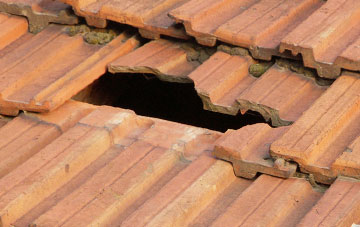 roof repair Muirdrum, Angus